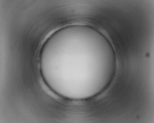 X0000113530843200909180958