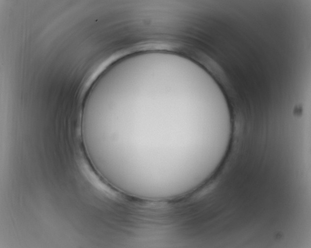 X0000113530844200909180958