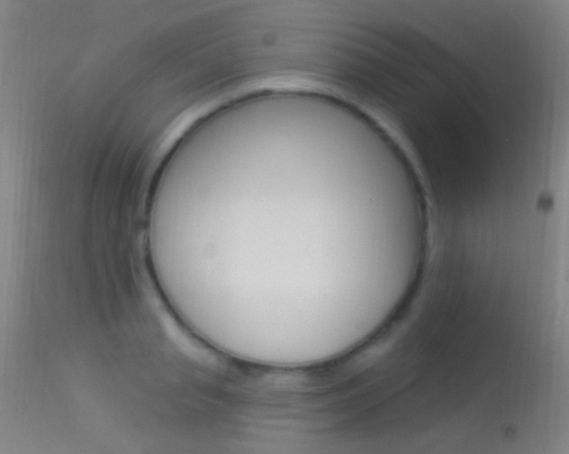 X0000113530845200909180958