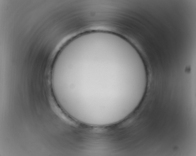 X0000113530848200909180958