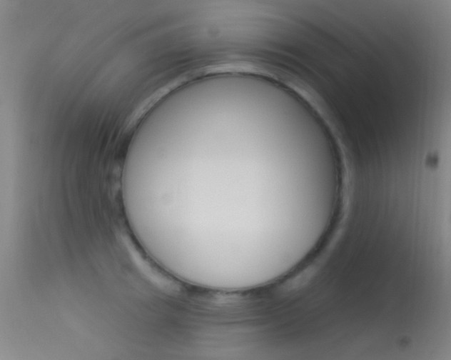 X0000113530849200909180958