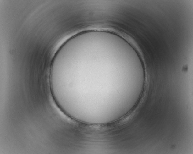 X0000113530855200909180958