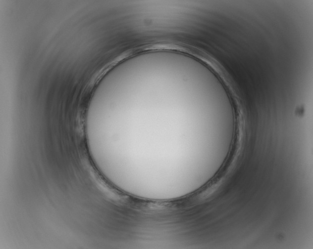 X0000113530857200909180958