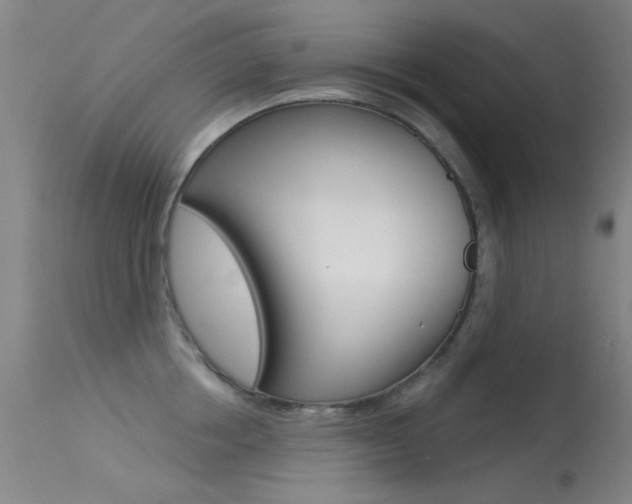 X0000113530858200909180958