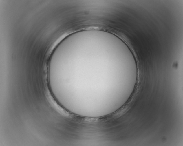 X0000113530859200909180958