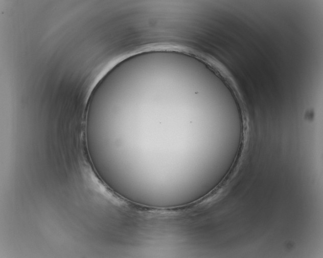 X0000113530860200909180958
