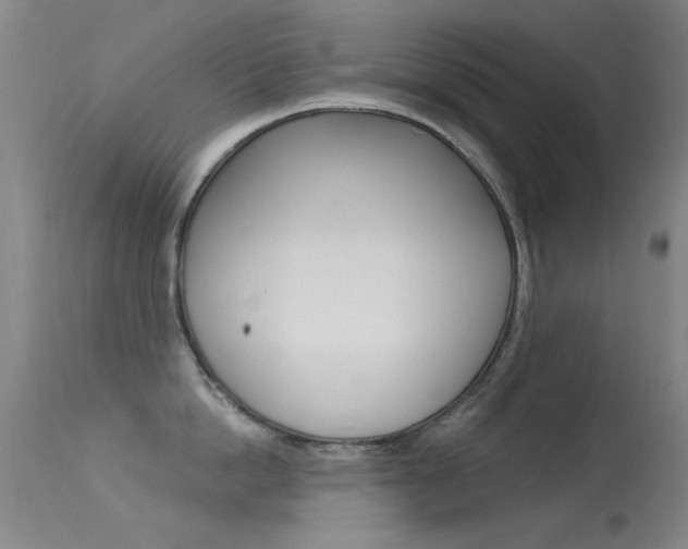 X0000113530862200909180958