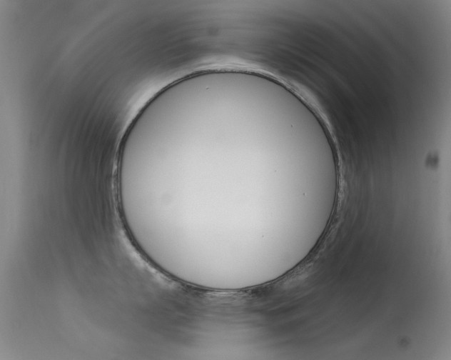 X0000113530863200909180958