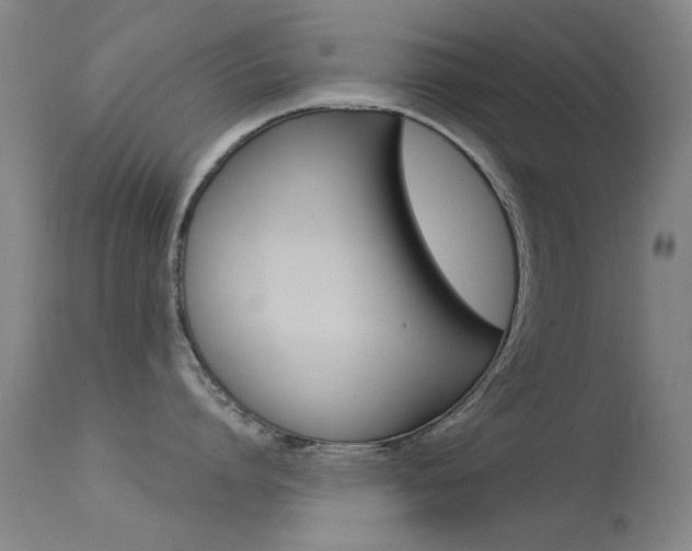 X0000113530864200909180958