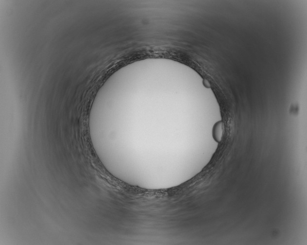 X0000113530865200909180957