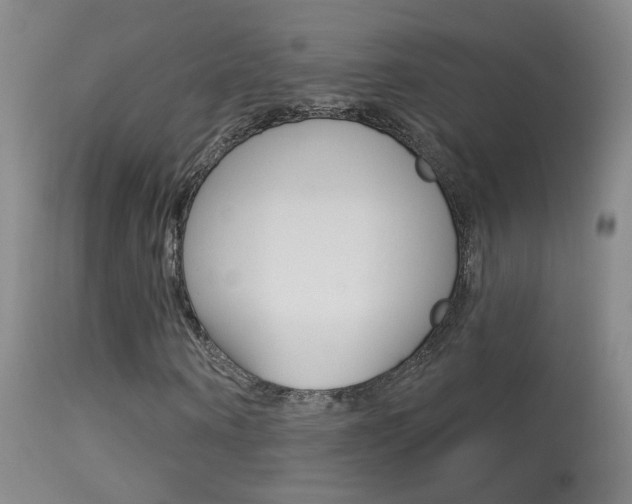 X0000113530866200909180957