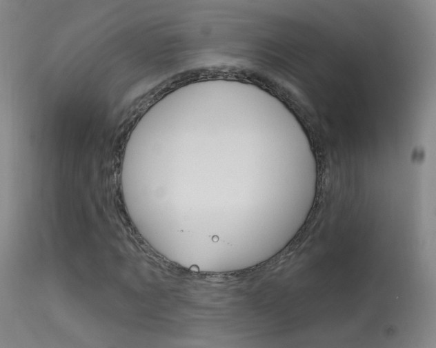 X0000113530869200909180957