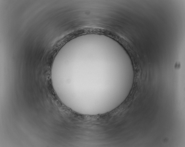 X0000113530870200909180957