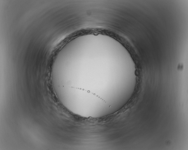 X0000113530871200909180957