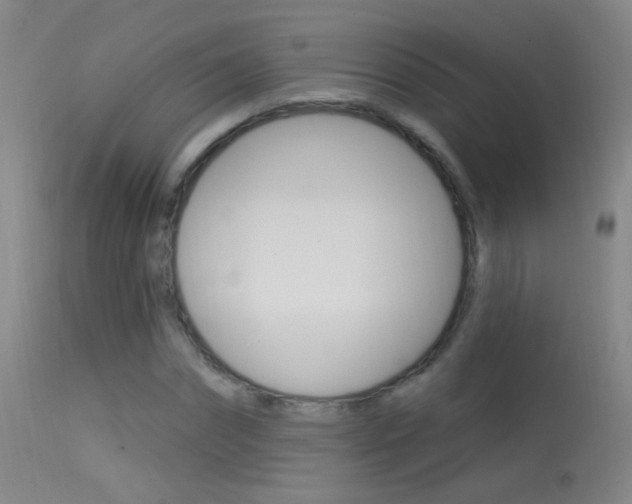 X0000113530874200909180957