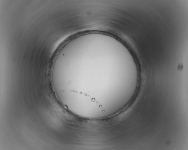 X0000113530875200909180957