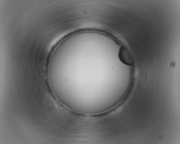 X0000113530877200909180957