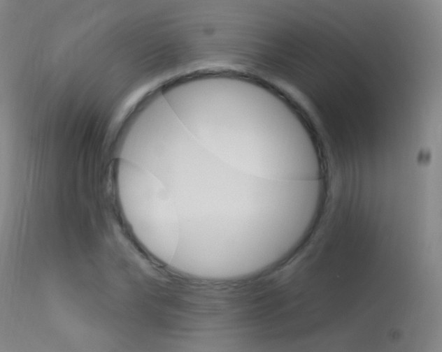 X0000113530878200909180957