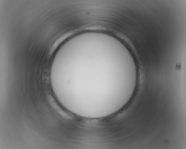 X0000113530882200909180957