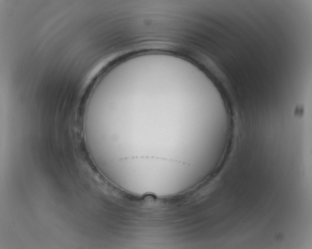 X0000113530883200909180957
