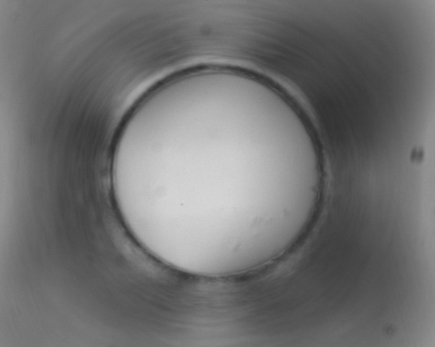 X0000113530887200909180957