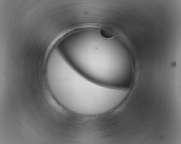 X0000113530892200909180957