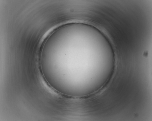 X0000113530896200909180957