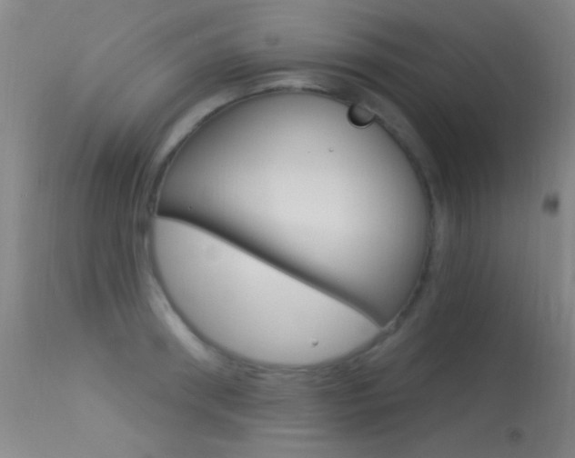 X0000113530898200909180957