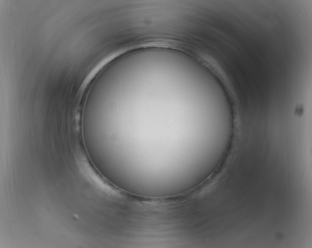 X0000113530900200909180957