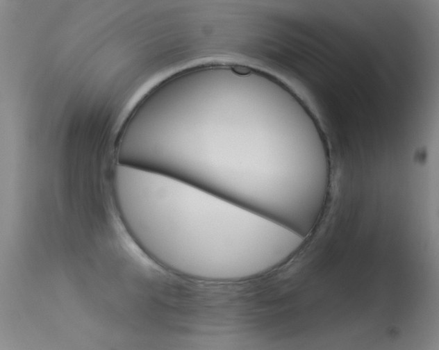 X0000113530903200909180957