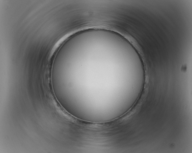 X0000113530904200909180957