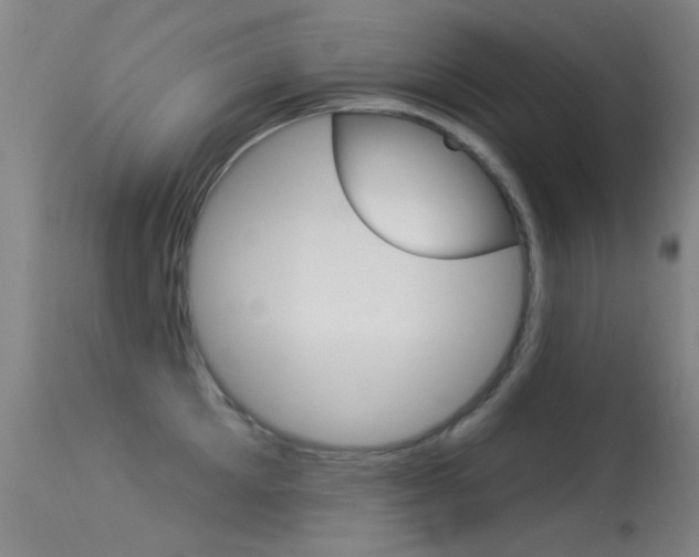 X0000113530905200909180957