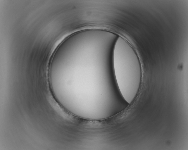 X0000113530907200909180957