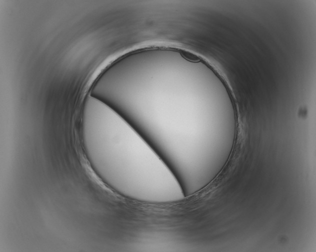 X0000113530911200909180957
