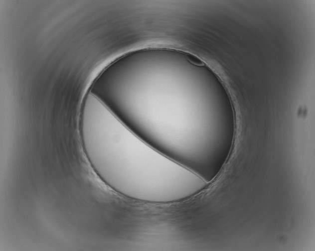 X0000113530912200909180957