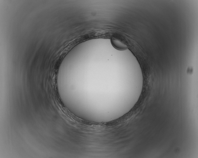X0000113530914200909180956
