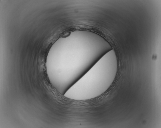 X0000113530915200909180956