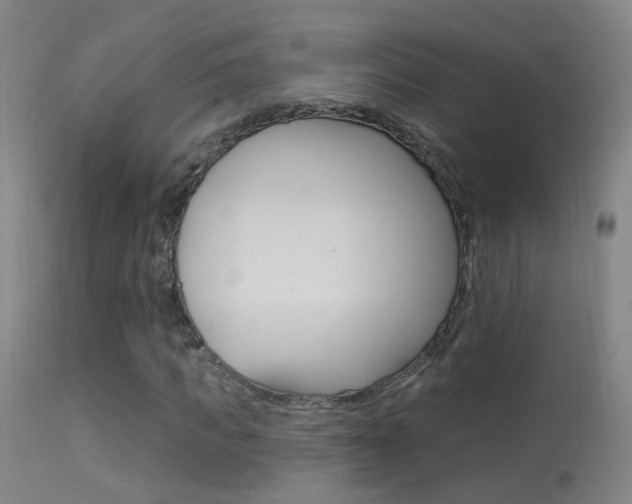 X0000113530917200909180956