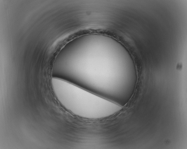X0000113530920200909180956