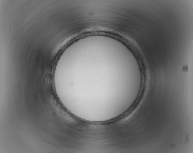 X0000113530921200909180956