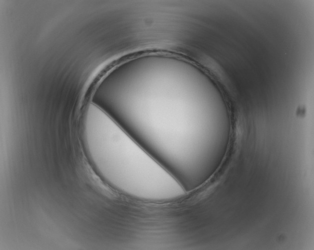 X0000113530924200909180956