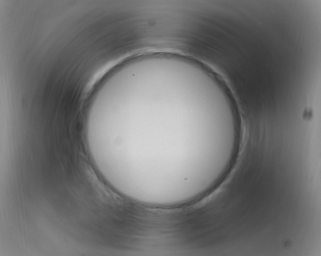 X0000113530925200909180956
