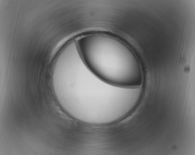 X0000113530926200909180956