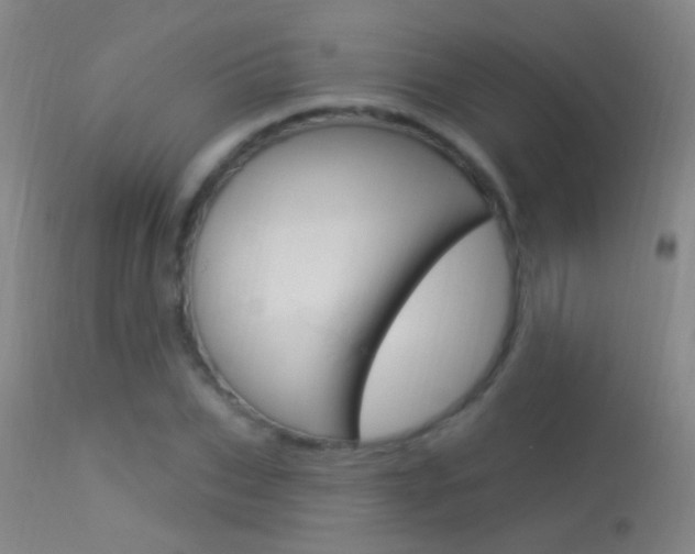 X0000113530927200909180956