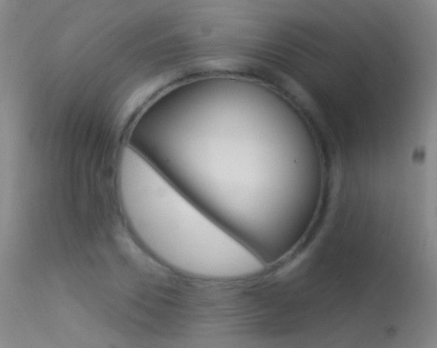 X0000113530930200909180956
