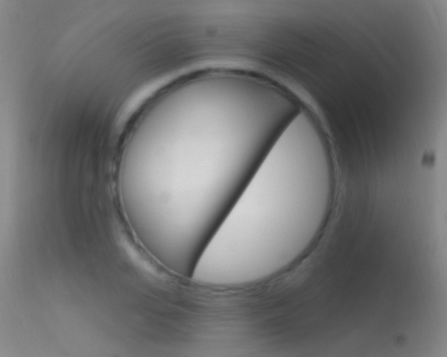 X0000113530935200909180956