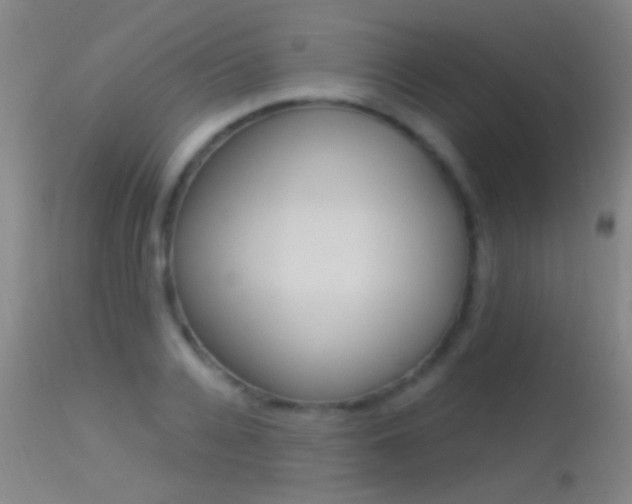 X0000113530936200909180956