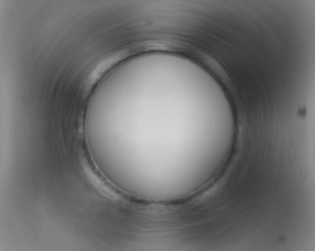 X0000113530938200909180957