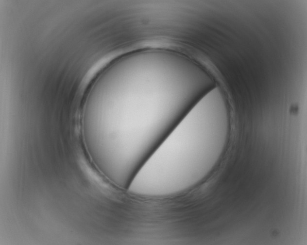 X0000113530939200909180957