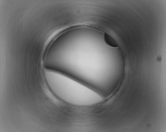 X0000113530940200909180957